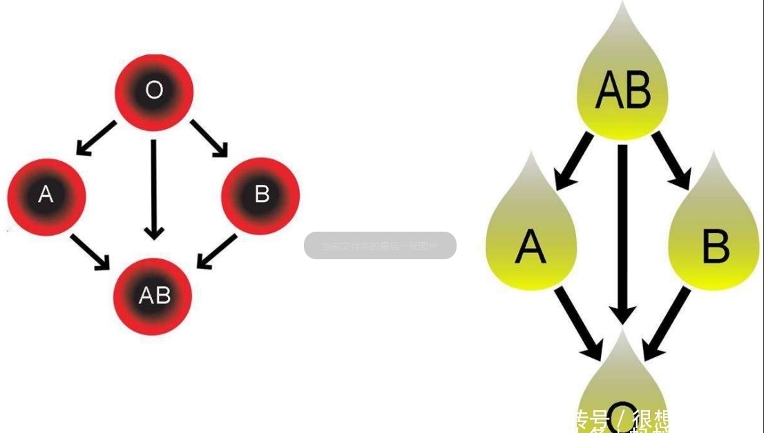 惊!人类血型也开始进化升级了,竟有32种之多