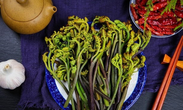 野菜|春天挖野菜，送你56种野菜大图片，带你见识不同的野菜和吃法