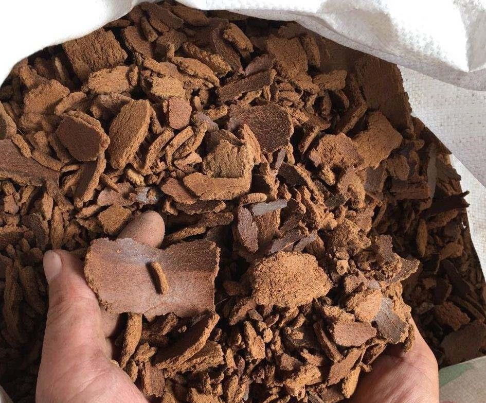 肥料|家里有这3种东西不要扔,你以为是垃圾,可它们是植物最好的肥料