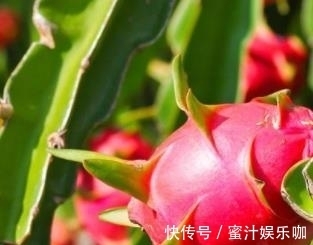 好处|一种让你“一举三得”的水果，好处多多！