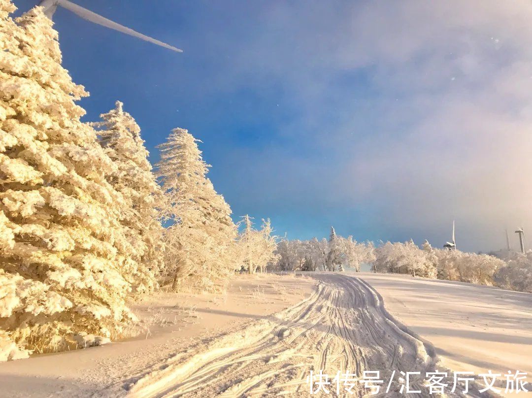 哈尔滨|这才是跟冬天最配的自驾线，沿途雪景美成童话，错过再等一年