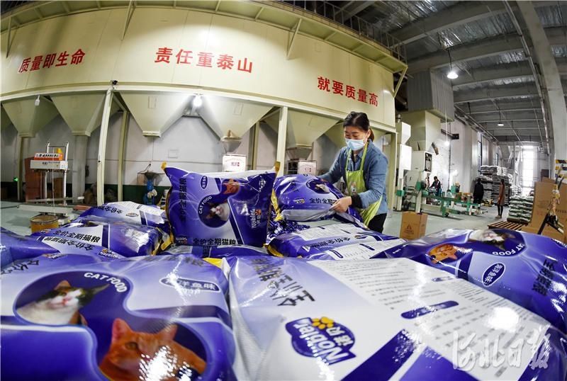 集群|河北邢台：宠物产业集群助力区域经济发展