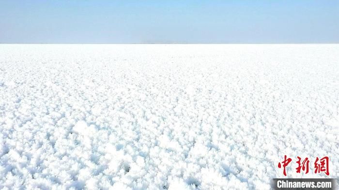 风景线|新疆博斯腾湖出现冰花奇观