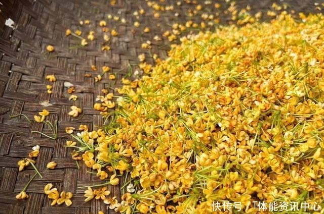 桂花最简单的几种保存方法,学会了一年四季都能吃到桂花做的美食