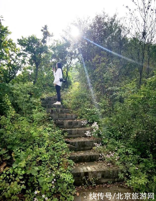 健康码|北京一处纯净的秋景，悠悠云海和空中澄明的湖泊让人心醉