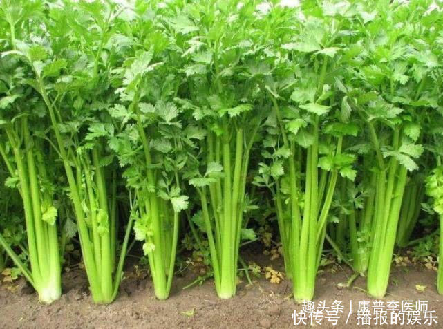 中年|吃了对身体好的食物,谁吃谁好,补水护肤,排毒瘦身,提高素质