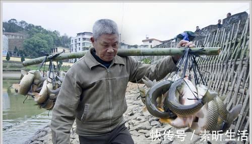 绳子|南方农村的'弓鱼术',能让鱼离水几天不死,是如何做到的呢