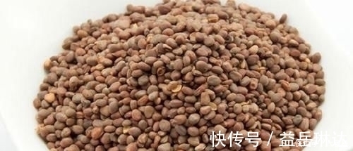 郁李仁|便秘不用吃药,多吃几种食物,排毒清肠,消灭口臭与便秘