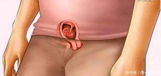 体重|宝宝是怎么被慢慢孕育出来的,十张过程图,一切来之不易