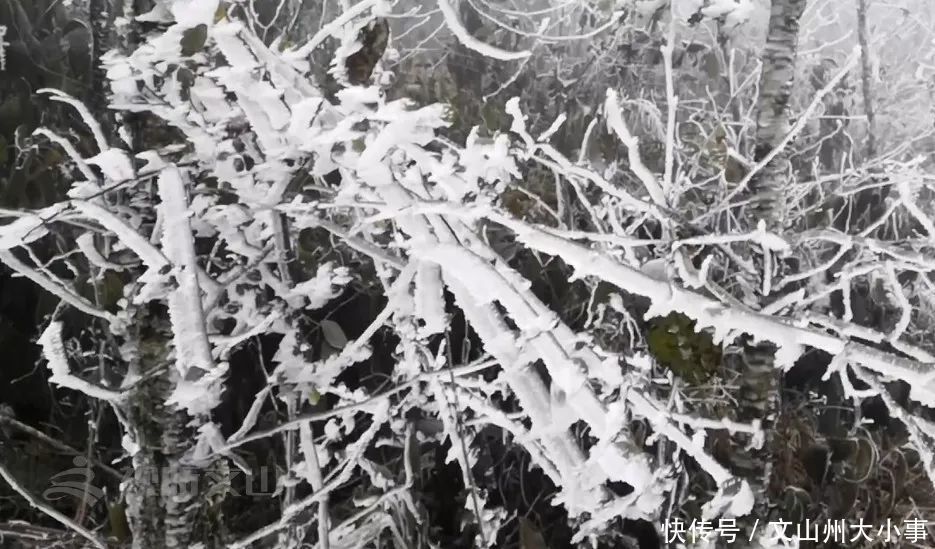 文山州这里惊现“冰雪世界”