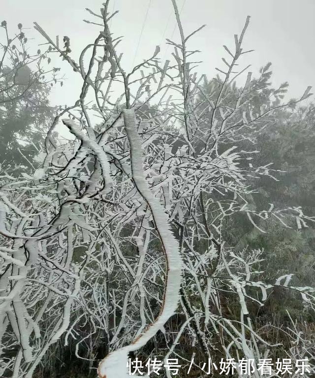 贵州|快看！贵州黔东南雷公山上处处银装素裹，风景美翻了……