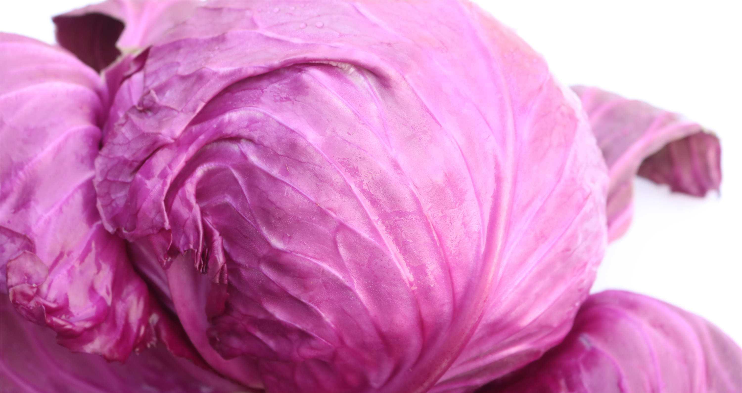 营养|多吃这4种食物,能预防多种疾病,让饮食更营养,身体才能更健康