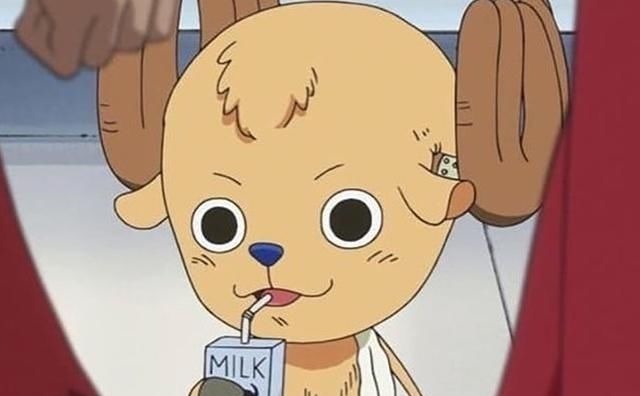 光头|《海贼王》草帽团被全员剃光头,娜美不再女神,布鲁克毫无违和感