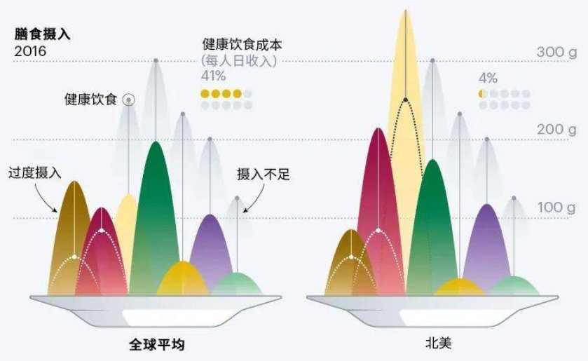 名校|这些名校大学生，想靠吃素拯救地球