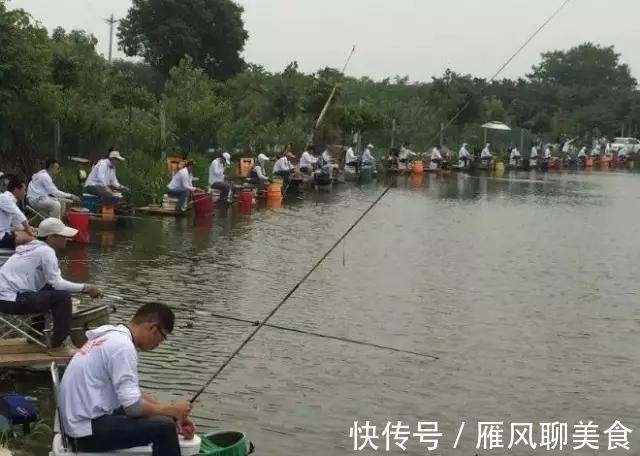 真口少，假口太多，老是不上鱼关键问题出在这里