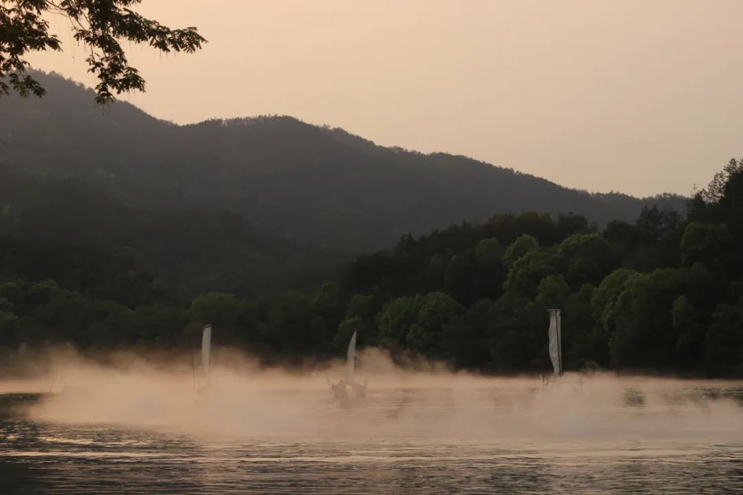 炎炎夏日来啦！赏花、观景、饮茶……带你觅夏凉！