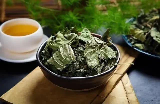 清理血管|人到中年,血液浓稠,用一种叶子泡水喝,清理血管,血栓不来扰