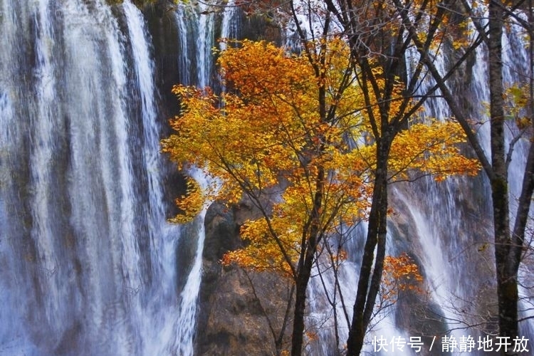 九寨沟|九寨沟最美的季节 你一定要去看一看