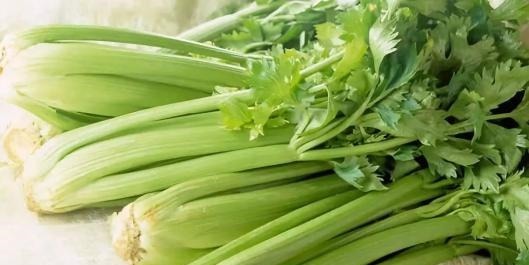 为何大家从来都不吃芹菜叶是太脏了,还是没营养告诉你原因