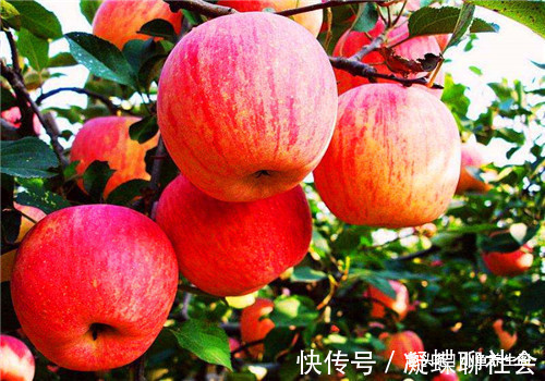 补水|女性养生,女性适合吃4种食物,清热排毒,补水养颜,营养又瘦身