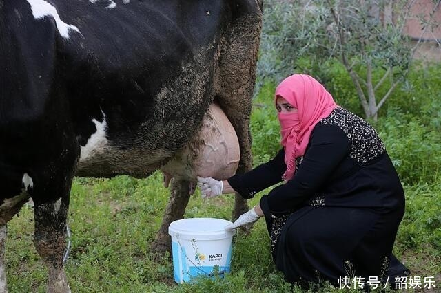 鲜奶|买牛奶，配料表里有“这三个字”，才是优质好奶，其余是奶味饮料