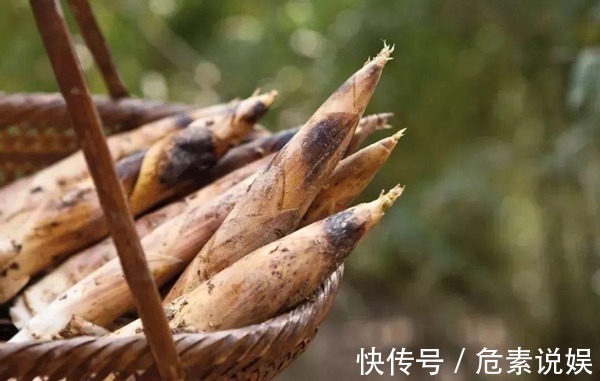 买竹笋应该怎么挑老菜农教你几招,以后别买错了,难吃还浪费钱