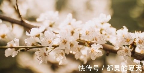 生肖兔|10月初，运势高涨，财运强势入驻，福运当头的生肖