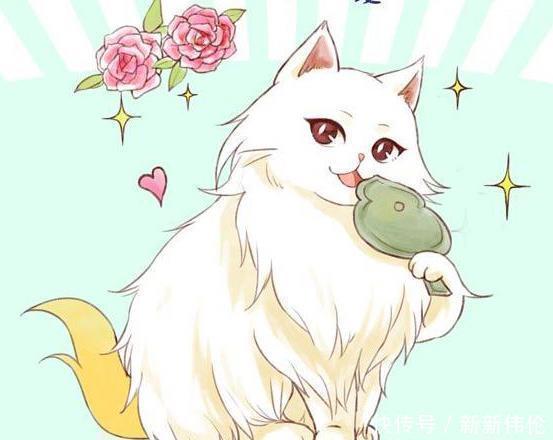 猫咪|美国我有只猫叫杰瑞,日本我的叫哆啦A梦,中国弟弟们让下