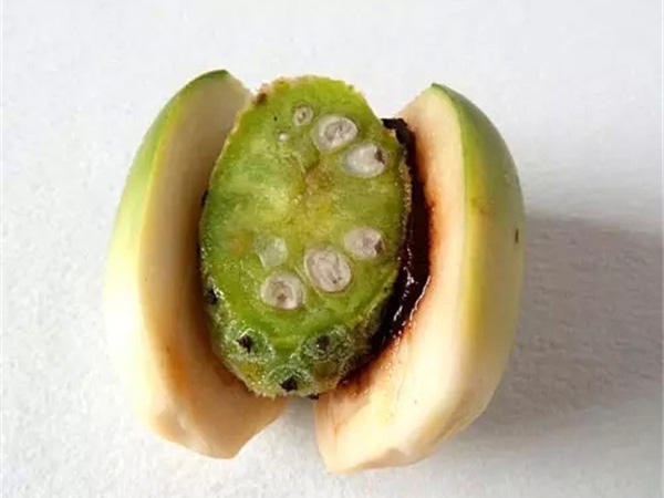 小彤|7岁男孩竟患“口腔癌”,只因平时爱吃它,宝妈们千万注意!