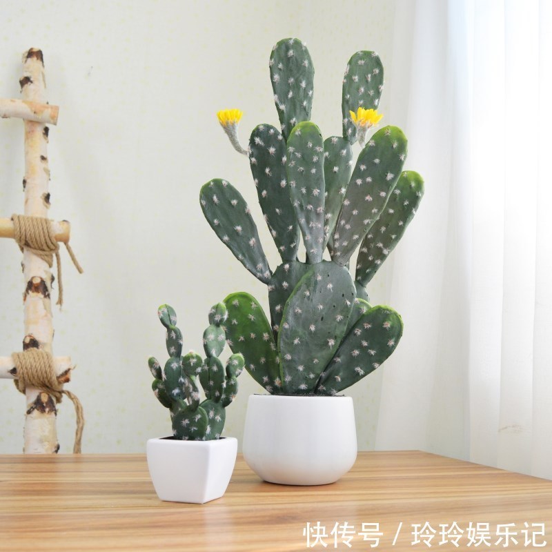 4种花放卧室,会令身体越来越差,你家若有,抓紧搬走!