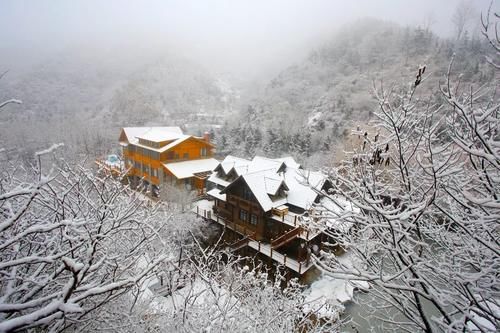 济南|冬日的济南城，一下雪就美成了仙境