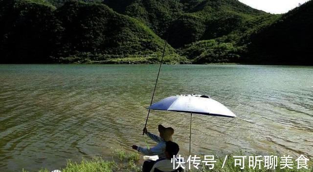 渔获|钓鱼打窝时，注意这3点，熟记5须知，钓好鱼不难