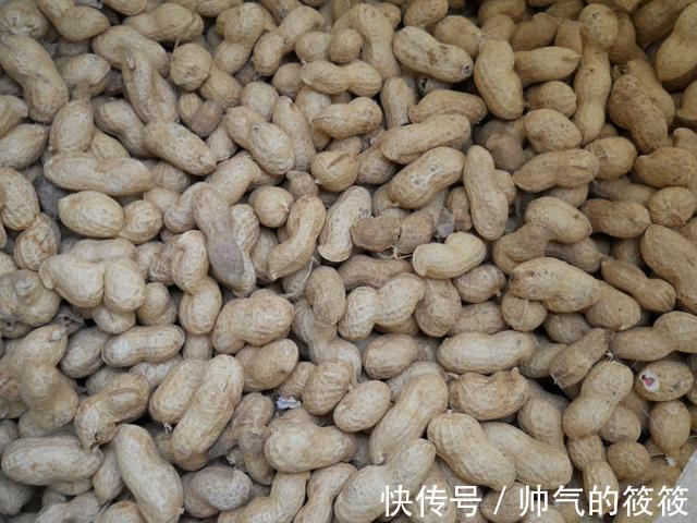 播种花生到底带壳还是不带壳二者哪个更好呢一起来看看