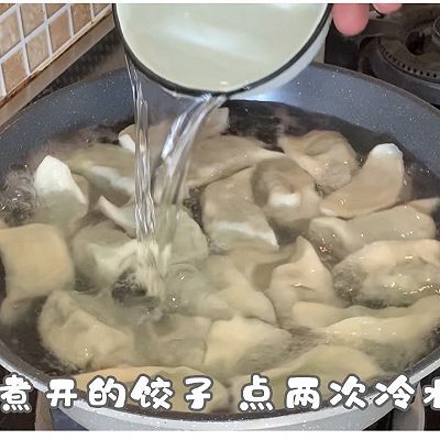 韭菜|贝丁山苜楂水饺