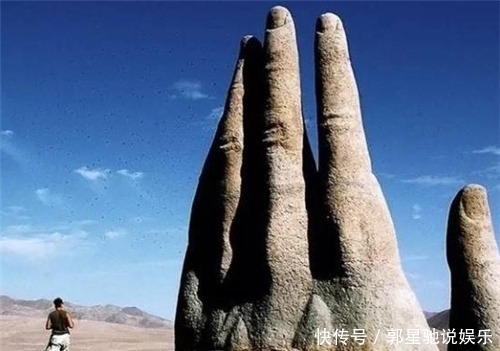 世上特别的三只手,一只抓着树干,一只在沙漠里,最后一只在我国