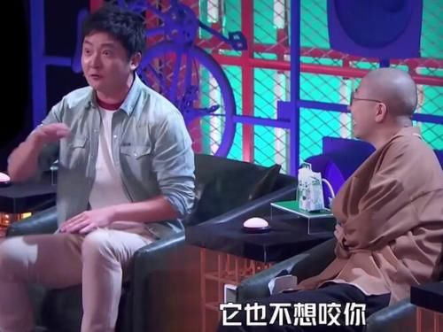 何广智|郭京飞评价何广智,像单纯无辜的“小土狗”,网友:有画面了