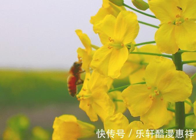 苦尽甘来|7天后,4个星座,有贵人相助,苦尽甘来,工作生活皆顺利