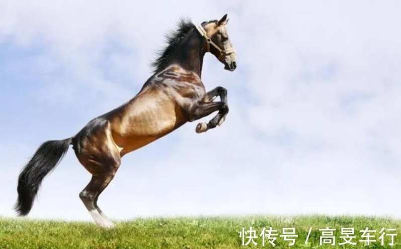 四相!老人言:看马要看四蹄,看人要看四相!四相指的啥?又有啥讲究