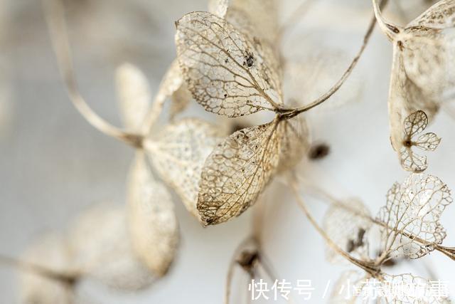 卡耐基!做人,不惹事,不怕事,才是真的有本事