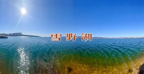 老年|2021年牛年大吉，新的一年第一次旅游选择了省会济南