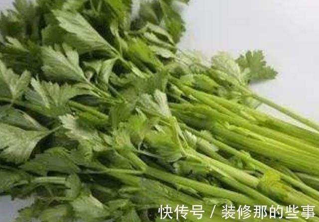 芹菜|4种食物,是肠道的“清道夫”,排毒清湿气,人都瘦好几圈