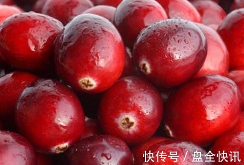 蔓越莓|女性晚上当零食吃2颗,美白、养颜、抗衰老,比面膜管用!