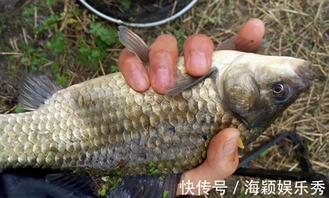 手食|用蚯蚓钓鲫鱼，这几种打窝方法，不仅发窝快，留鱼效果也持久