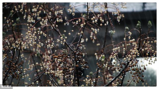 双鞋|闰四月为恶月,有哪些习俗必须给父母买衣服买鞋子吗