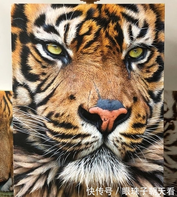 热爱!超写实野生动物,狂野凶猛的样子,随时准备从画布上扑下来