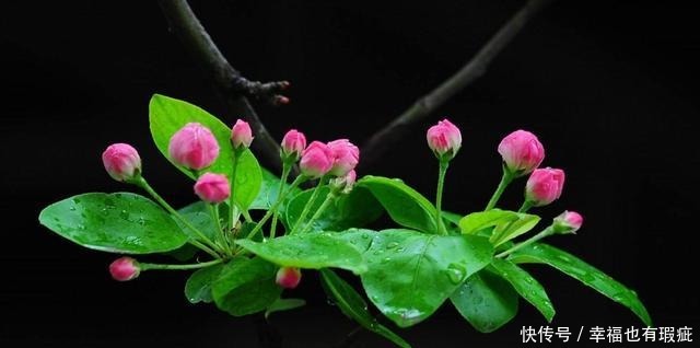 回到|元好问晚年回到故乡,写给儿孙一首诗,指出了人世间最好的教养