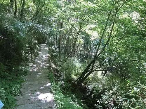 探秘幽深的历史隧道，重现风雨砥砺的传奇——阴平古道