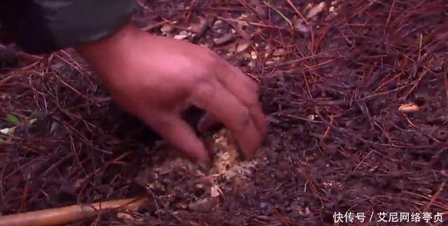 翻译|日本农民发现一块中国金印，上面刻有五个字，翻译后日本不承认