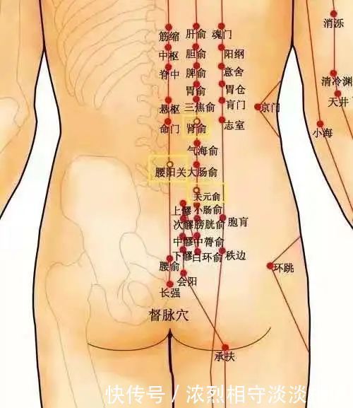 一个食疗古方，补肝、补肾、补脾、补气、补血，治腰腿疼痛有奇效
