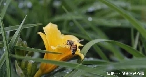 旺夫相|几月出生的女人，长得好看，还是一脸旺夫相，能为家庭添财添福